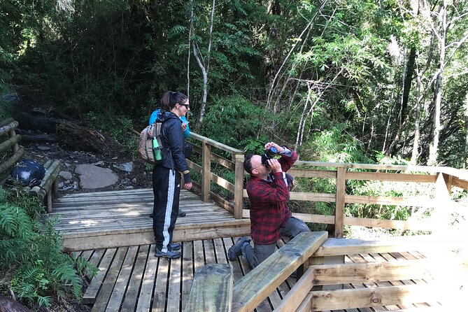 Full day HIKE Alerce Andino Parque Nacional. - What is included for $200