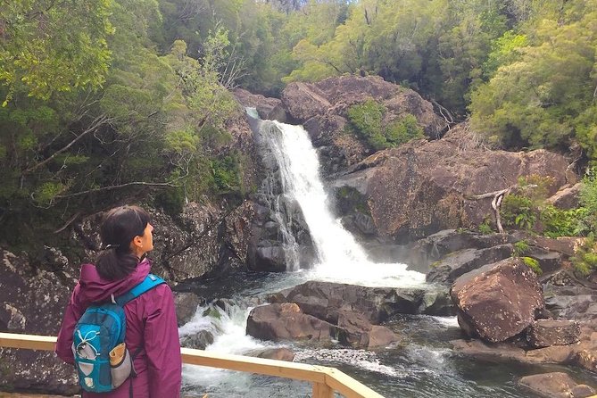 Full day HIKE Alerce Andino Parque Nacional. - Who will enjoy this hike most