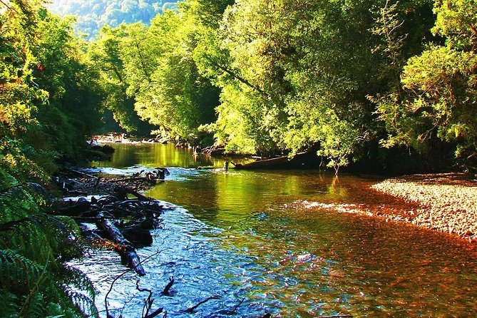 Full day HIKE Alerce Andino Parque Nacional. - Entering Alerce Andino National Park