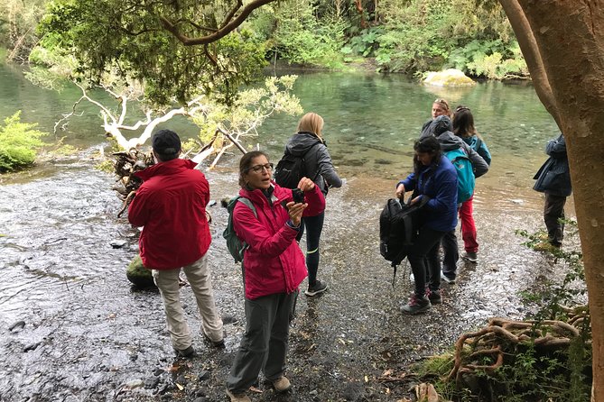 Full day Hiking Solitario trail, Osorno Petrohue Falls - Key points to know before booking