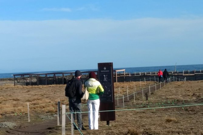 FULL DAY KING PENGUIN COLONY (private tours) - Plaza Selknam and the people of Tierra del Fuego