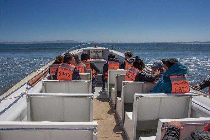 Full Day on Chiloé Island Visiting Penguins in Puñihuil - Crossing the Chacao Canal from Pargua