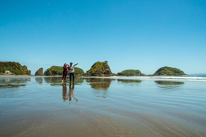 Full Day on Chiloé Island Visiting Penguins in Puñihuil - Caulín beach and its bird sanctuary