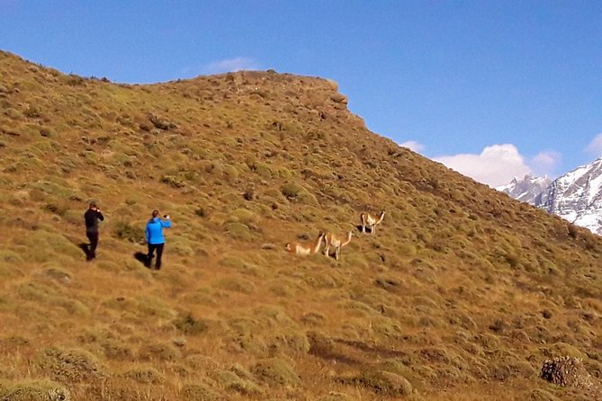 Full Day Parque Torres del Paine (1 to 4 Passengers, Private) - The return route through three lakes