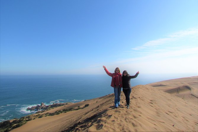 Full-Day Private Bike Tour of Concon Viña del Mar and Valparaiso from Santiago - Why this coast day works from Santiago