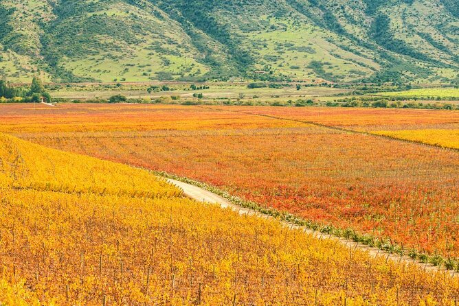 Full Day Private Colchagua Wine Tour from Santiago - Key points to know before booking