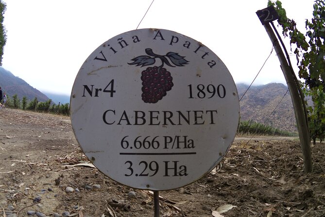 Full Day Private Colchagua Wine Tour from Santiago - Neyen: old vines and an old-world style