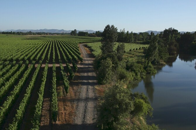Full Day Private Colchagua Wine Tour from Santiago - What is included, and what will cost extra