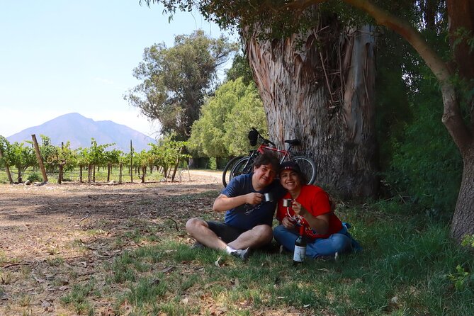 Full-Day Private Maipo Valley Bike Tour and Wine Tasting from Santiago - Guides, language, and the private format