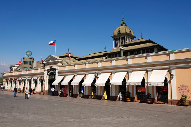 Full Day Private Shore Tour in Santiago from Valparaiso Port - The return to Valparaiso and ship timing