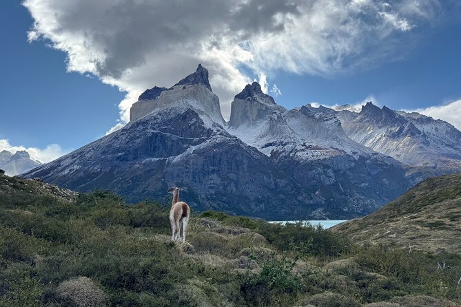 Full Day Private Torres del Paine - Salto Grande, Where The Water Shows Its Force
