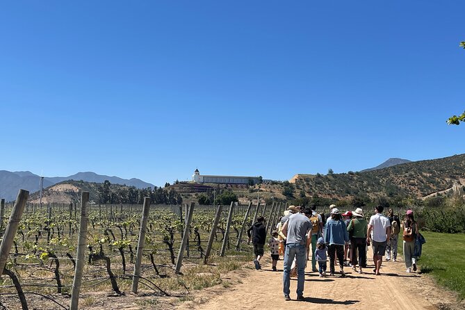 Full Day Private Tour in Casablanca Valparaíso and Viña del Mar - Key points to know before booking