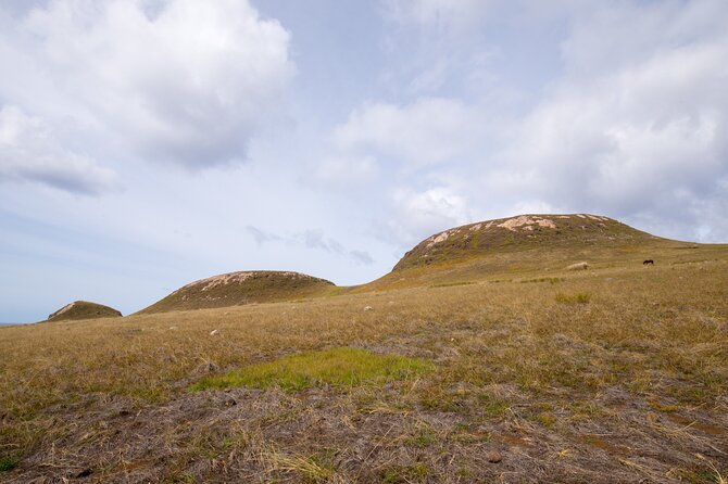 Full day Private Tour: Poike Walk through the abandoned area - Key points to know before you book