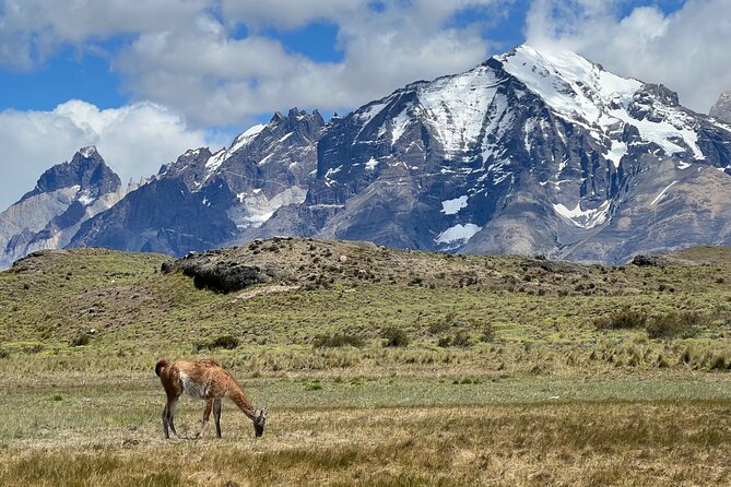 Full Day Private Tour to Torres del Paine - The guide can make or break the experience