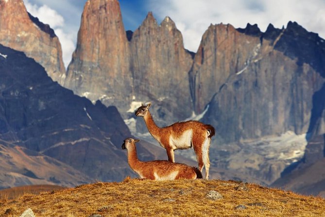 Full Day Torres del Paine & Milodon - Is one day enough for Torres del Paine?