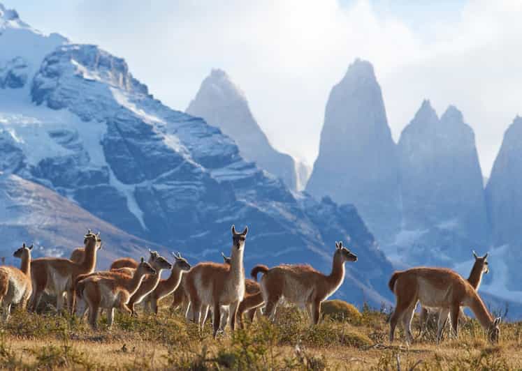 Full-Day Torres del Paine National Park from El Calafate - Transport, lunch, and comfort on a 4x4 Overland Truck