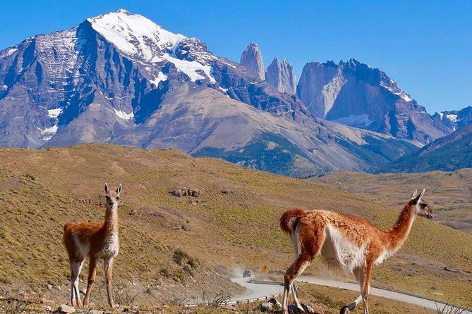 Full Day Torres del Paine Tour - Milodón Cave and the prehistoric story