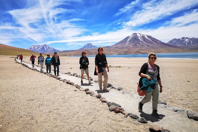 Full Day Tour Altiplanicas and Piedras Rojas Lagoon with Food - Why this day works for seeing the Altiplano