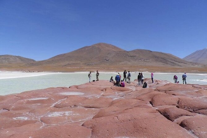 Full Day Tour Altiplanicas and Piedras Rojas Lagoon with Food - How to prepare for altitude and weather