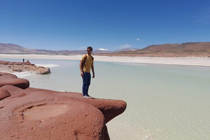 Full Day Tour Altiplanicas and Piedras Rojas Lagoon with Food - The social side of the outing