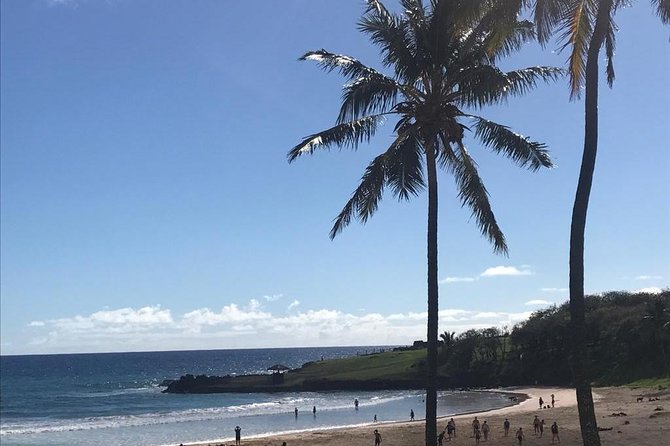Full Day Tour - The Land of Hotu Matu´a - Anakena Beach, archaeology beside the coast