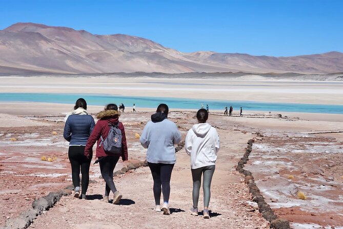 Full Day Tour to Piedras Rojas, Altiplanic Lagoons and Chaxa - Why Piedras Rojas makes this day worth the miles