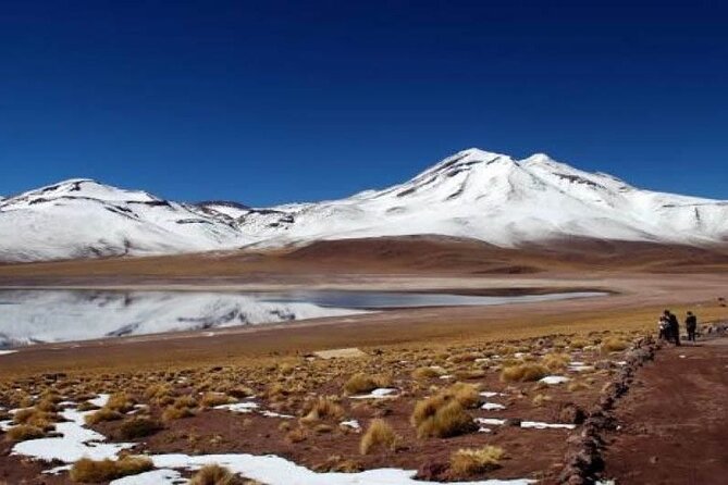 Full day tour to Piedras Rojas with Lunch - Why This Day Trip Covers So Much of the Atacama