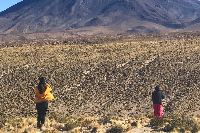 Full Day Tour to Ruta de los Salares - Guides, drivers, and the importance of language