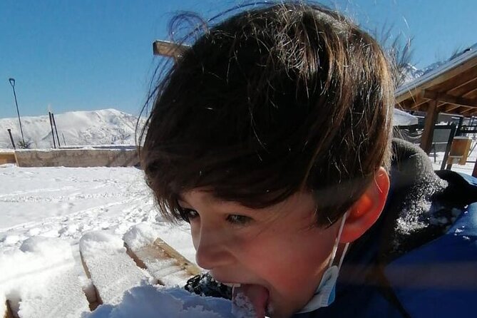 Full Day Tour to Valle Nevado and Panoramic Farellones - Farellones: snow time, shopping, and optional activities