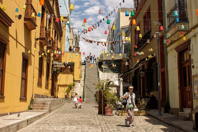 Full day Tour Viña del Mar & Valparaiso Highlights from Santiago - Who should book this coastal day trip?