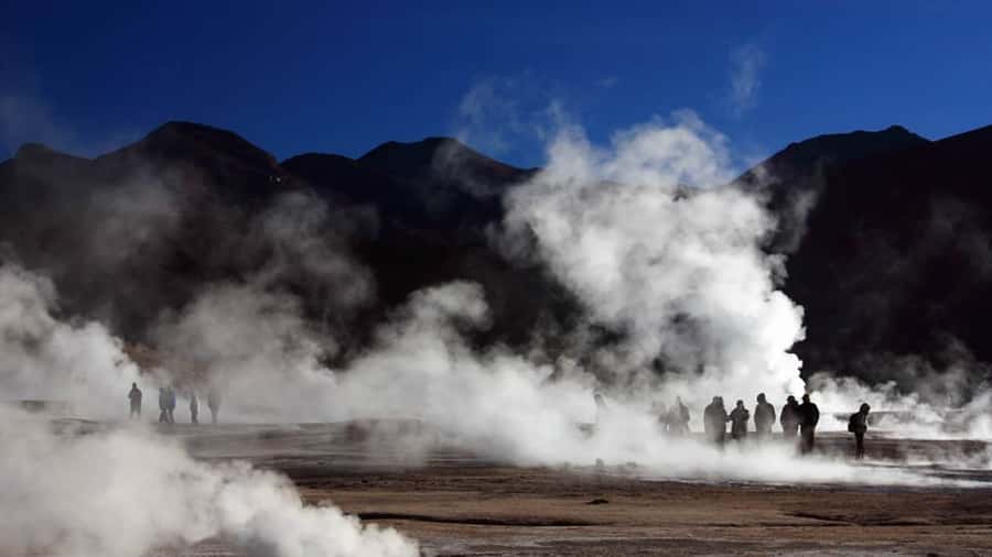 Full Desert. The most complete program you will find - What the $390 program actually covers