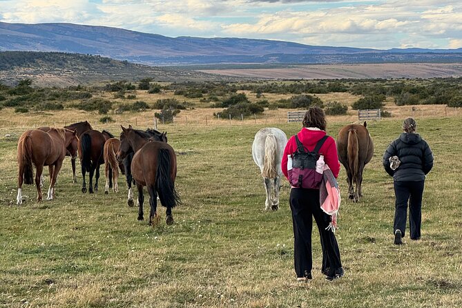 Get Down to Earth with Horses in Patagonia - Walking the farm at a slower pace