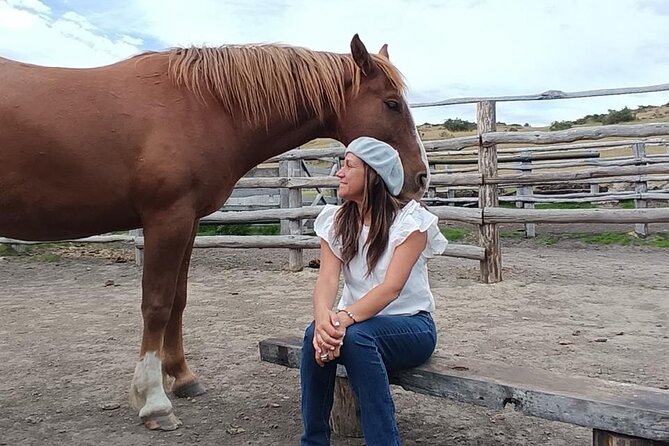 Get Down to Earth with Horses in Patagonia - Patagonian views without a packed schedule