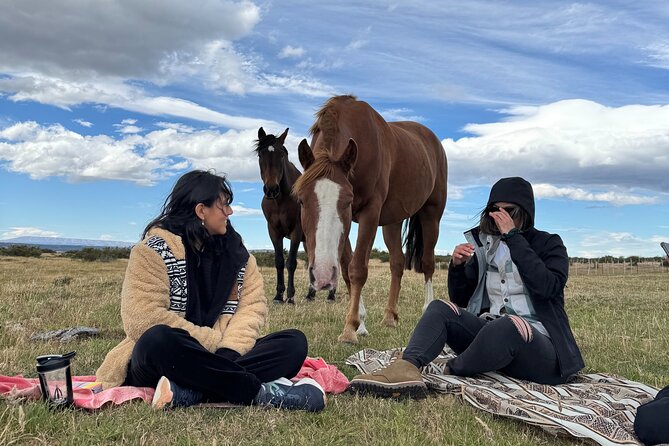 Get Down to Earth with Horses in Patagonia - Is $130 a fair price?
