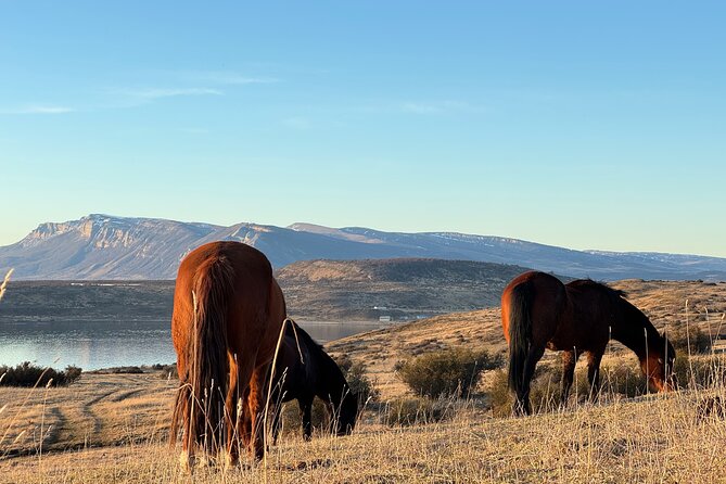 Get Down to Earth with Horses in Patagonia - Weather, water, and other practical details