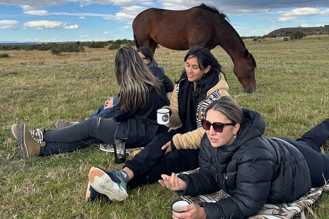 Get Down to Earth with Horses in Patagonia - Arriving at Entre Aperos y Calafates