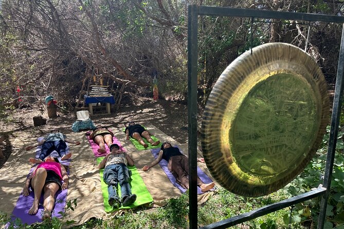 Gong Bath in the Magic Forest in San Pedro de Atacama - Walking the spiritual path among native trees