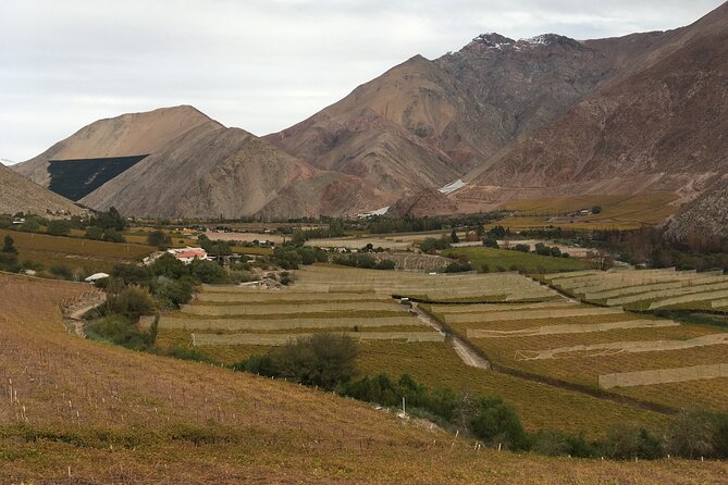 Grand Tour Elqui Valley Heavenly Paradise of Sacred Mountains - Five things that make this Elqui Valley day special