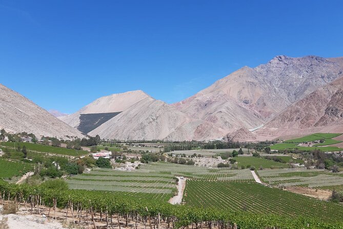 Grand Tour Elqui Valley Heavenly Paradise of Sacred Mountains - Starting in La Serena and following the old valley route