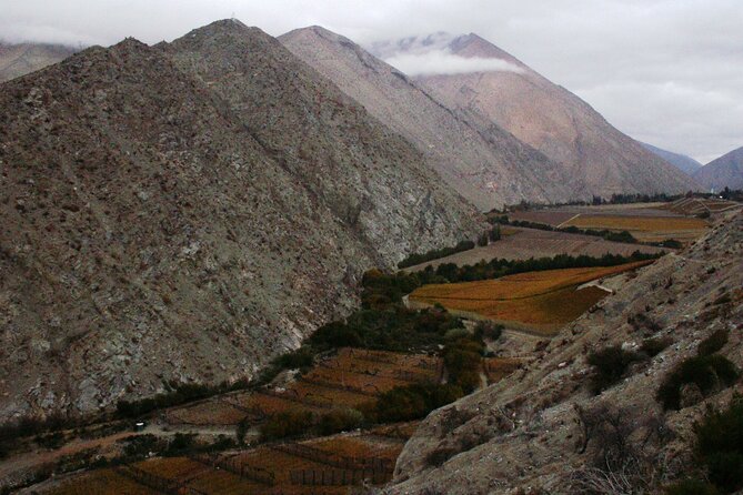 Grand Tour Elqui Valley Heavenly Paradise of Sacred Mountains - Capel pisco, from Muscat grapes to distillery equipment