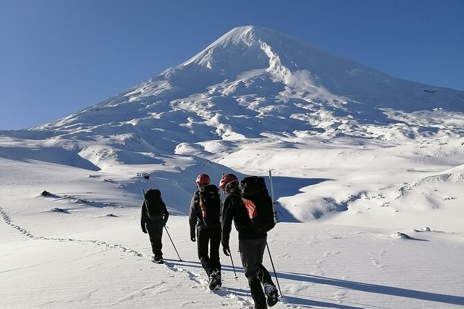 Guided ascent of Llaima volcano from Pucón - Key points to know before booking