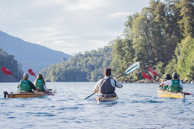 Guided Half Day Kayak Tour with Picnic in Villa la Angostura - Five details worth knowing before you book