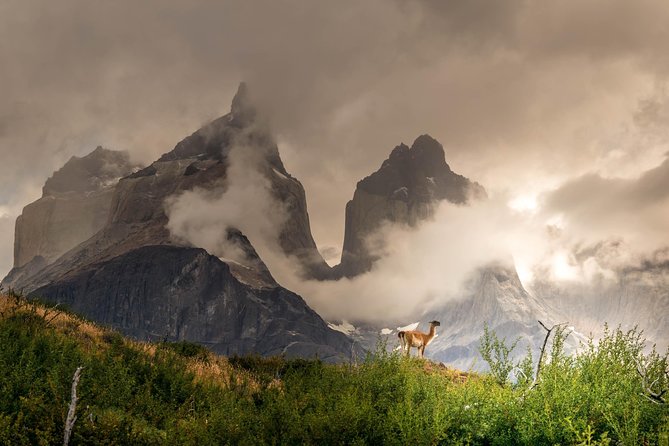 Half Day Mirador Cuernos del Paine (Minimum 2 pax) - From Hotel del Paine to Salto Grande
