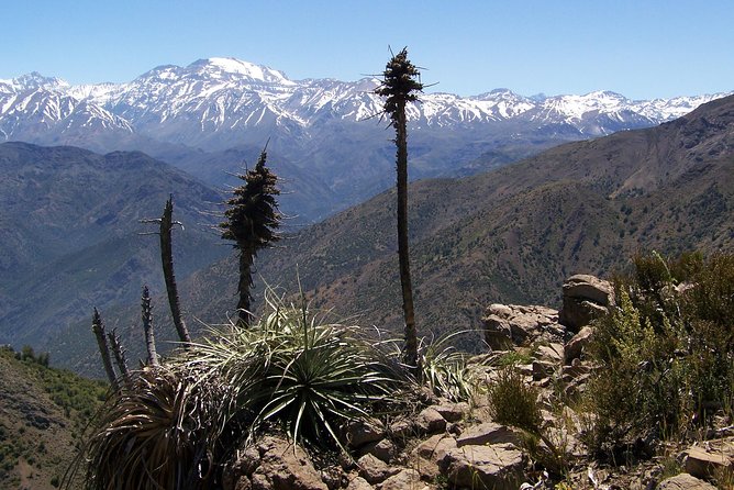 Half-Day Private Andes Hiking Tour from Santiago, carbon neutral. - Two views for the price of one climb