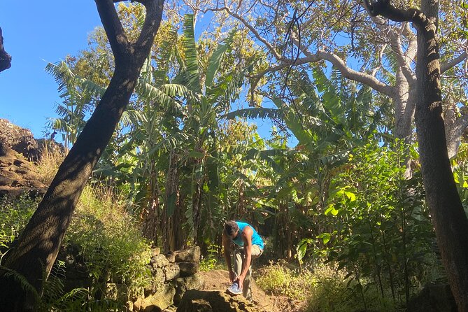 Half Day Private Tour: Caves and Volcanic Refuges - Puna Pau and the Red Pukao