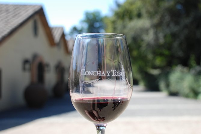 Half-Day Private Tour: Concha y Toro Vineyard from Santiago Winetasting Included - Walking through the late-19th-century family grounds