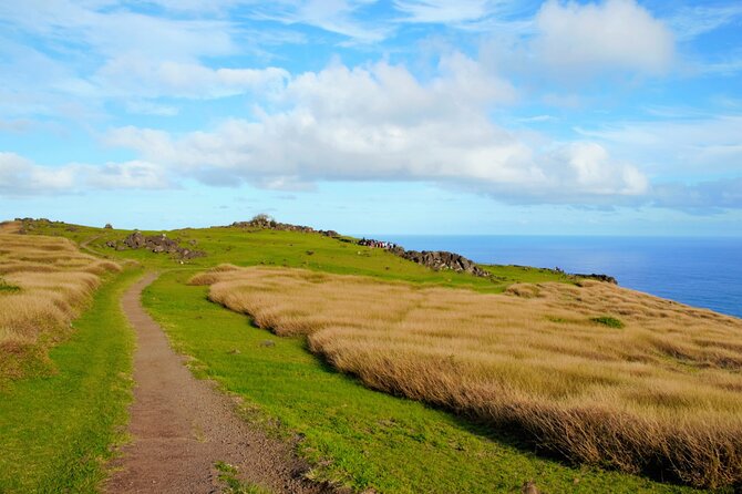 Half Day Private Tour: Rano Kau and Orongo the City of Kings - Booking advice and cancellation terms