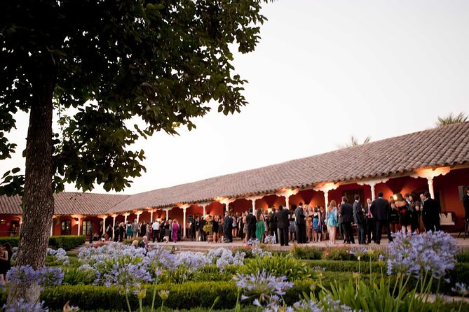 Half day Santa Rita and Undurraga Winery Tasting Tour in Santiago - Undurraga’s vineyards and underground cellars