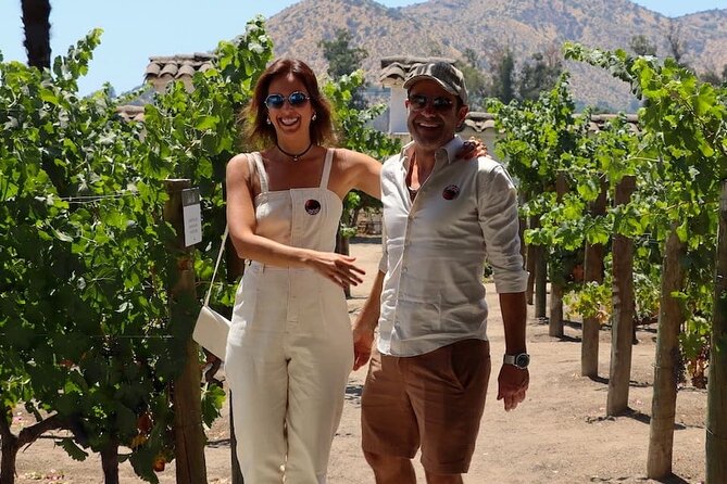 Half day Santa Rita and Undurraga Winery Tasting Tour in Santiago - Is $135 a fair price?