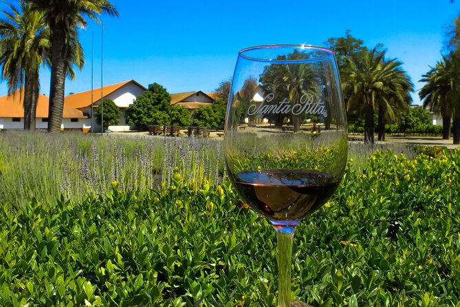 Half Day Santa Rita Vineyard Tour - Why Santa Rita Makes a Good Half-Day Trip